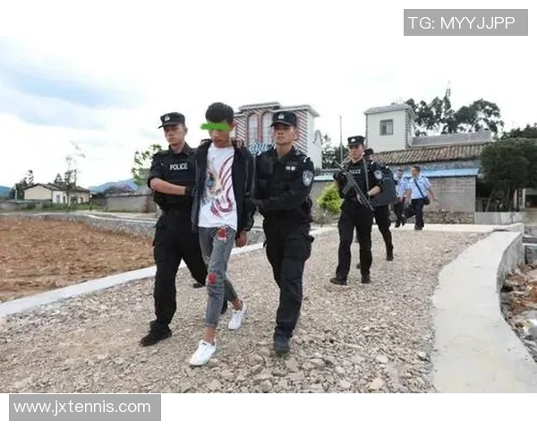 国际刑警组织与FATF协同合作加强跨境洗钱打击力度与成效分析